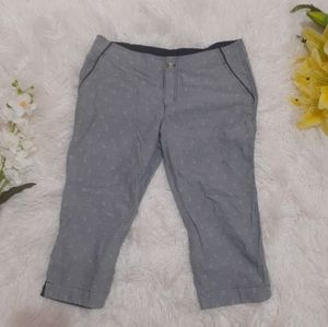 Columbia capri pants pfg